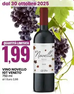 Eurospin Vino novello igt veneto offerta