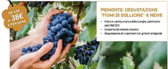 Piemonte: degustazione "fiumi di bollicine" a neive