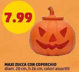 PENNY Maxi zucca con coperchio offerta