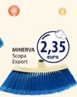 Acqua & Sapone MINERVA Scopa Export offerta