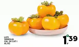 Extra Supermercati Loti vaniglia offerta