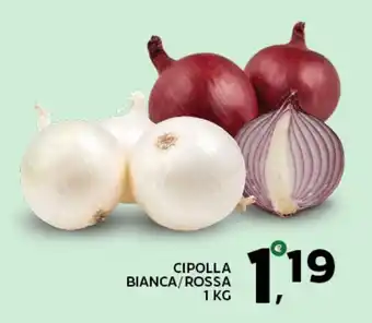 Extra Supermercati Cipolla bianca/rossa offerta