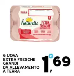 Extra Supermercati 6 uova extra fresche grandi da allevamento a terra offerta