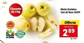 Lidl Mele golden val di non dop offerta