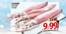 Il Genio Supermercato CALAMARI U/3A IQF offerta