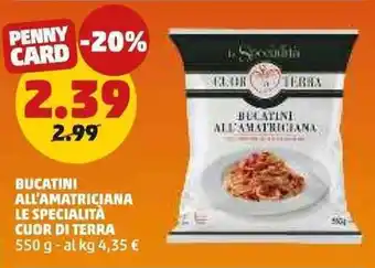 PENNY Bucatini all'amatriciana LE SPECIALITÀ CUOR DI TERRA offerta