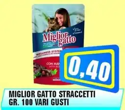 Punto Vigas Miglior gatto straccetti offerta