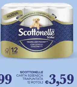 Pilato SCOTTONELLE carta igienica trapuntata offerta