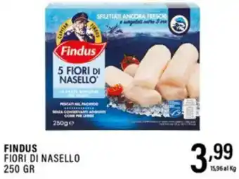 Gecop Findus fiori di nasello offerta
