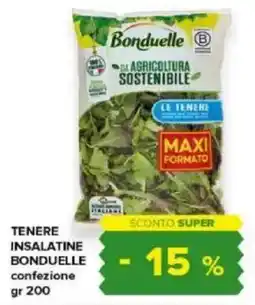 Tigre Amico Tenere insalatine BONDUELLE offerta