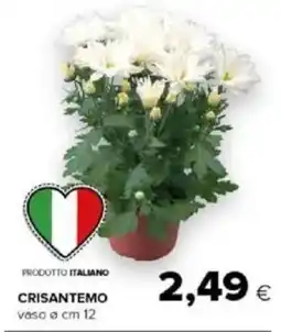 Tigre Amico Crisantemo offerta