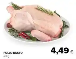 Tigre Amico Pollo busto offerta