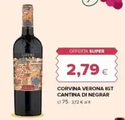 Tigre Amico Corvina verona IGT CANTINA DI NEGRAR offerta