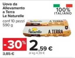 Carrefour Uova da Allevamento a Terra Le Naturelle offerta