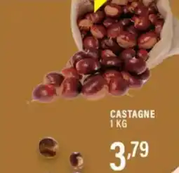 Gecop Castagne offerta