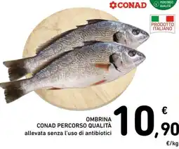 Spazio Conad Ombrina conad percorso qualità allevata senza l'uso di antibiotici offerta