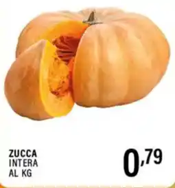 Gecop Zucca intera offerta
