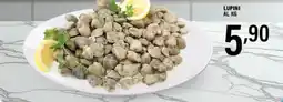 Gecop Lupini offerta