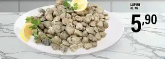 Gecop Lupini offerta
