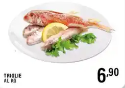 Gecop Triglie offerta