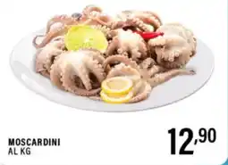 Gecop Moscardini offerta