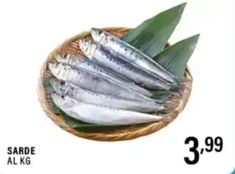 Gecop Sarde offerta