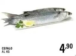 Gecop Cefalo offerta