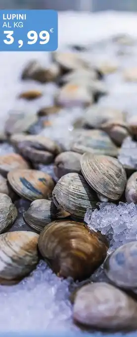 Supermercati Pasquale Prisco Lupini offerta