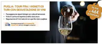 Puglia tour fra i vigneti di turi con degustazione di vini