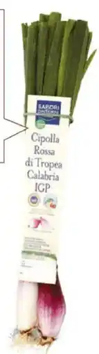 Spazio Conad Cipolla rossa di tropea calabria i.g.p. sapori&dintorni percorso qualità CONAD offerta