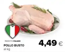 Tigre Pollo busto offerta