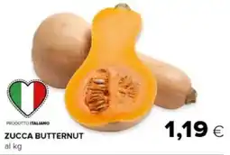 Tigre Zucca butternut offerta