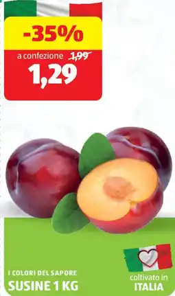 ALDI I colori del sapore susine offerta