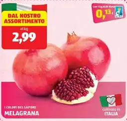 ALDI I colori del sapore melagrana offerta