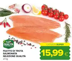 Tigre Filetto di trota salmonata selezione qualità offerta