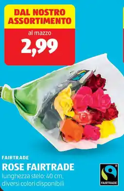ALDI Fairtrade rose fairtrade offerta