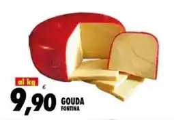 Compri Meglio Gouda fontina offerta