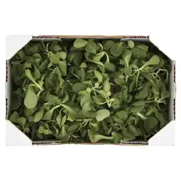 Coop INASALATE ORTO QUI offerta