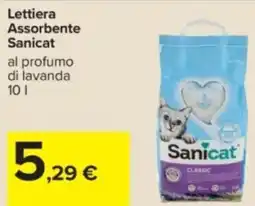 Carrefour Lettiera Assorbente Sanicat offerta