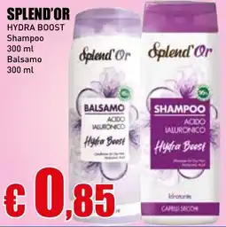 Casalandia SPLEND'OR Hydra boost shampoo-Balsamo offerta