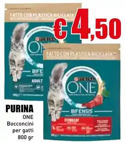 Casalandia Purina one bocconcini per gatti offerta