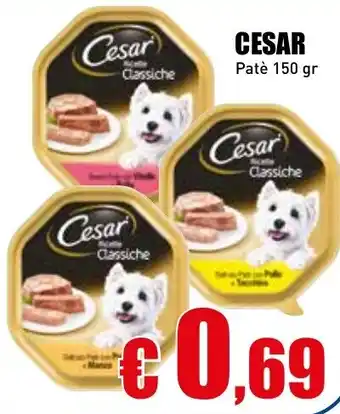 Casalandia CESAR Patè offerta