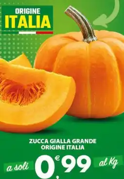 Despar Zucca gialla grande origine italia offerta