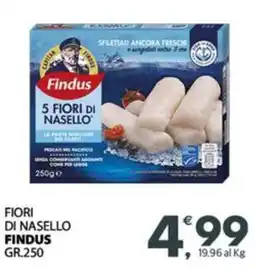 Despar Fiori di nasello FINDUS offerta