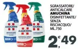 Despar Sgrassatore/ anticalcare AMUCHINA offerta
