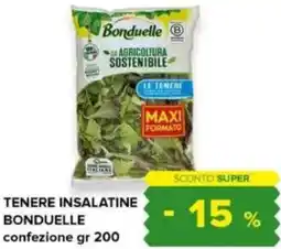 Oasi Tenere insalatine bonduelle offerta