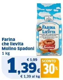 Ok Sigma Farina che lievita Molino Spadoni offerta