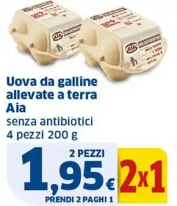 Ok Sigma Uova da galline allevate a terra Aia offerta