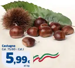 Ok Sigma Castagne Cal. 75/80 - Cat.I offerta