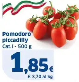 Ok Sigma Pomodoro piccadilly Cat.1 offerta